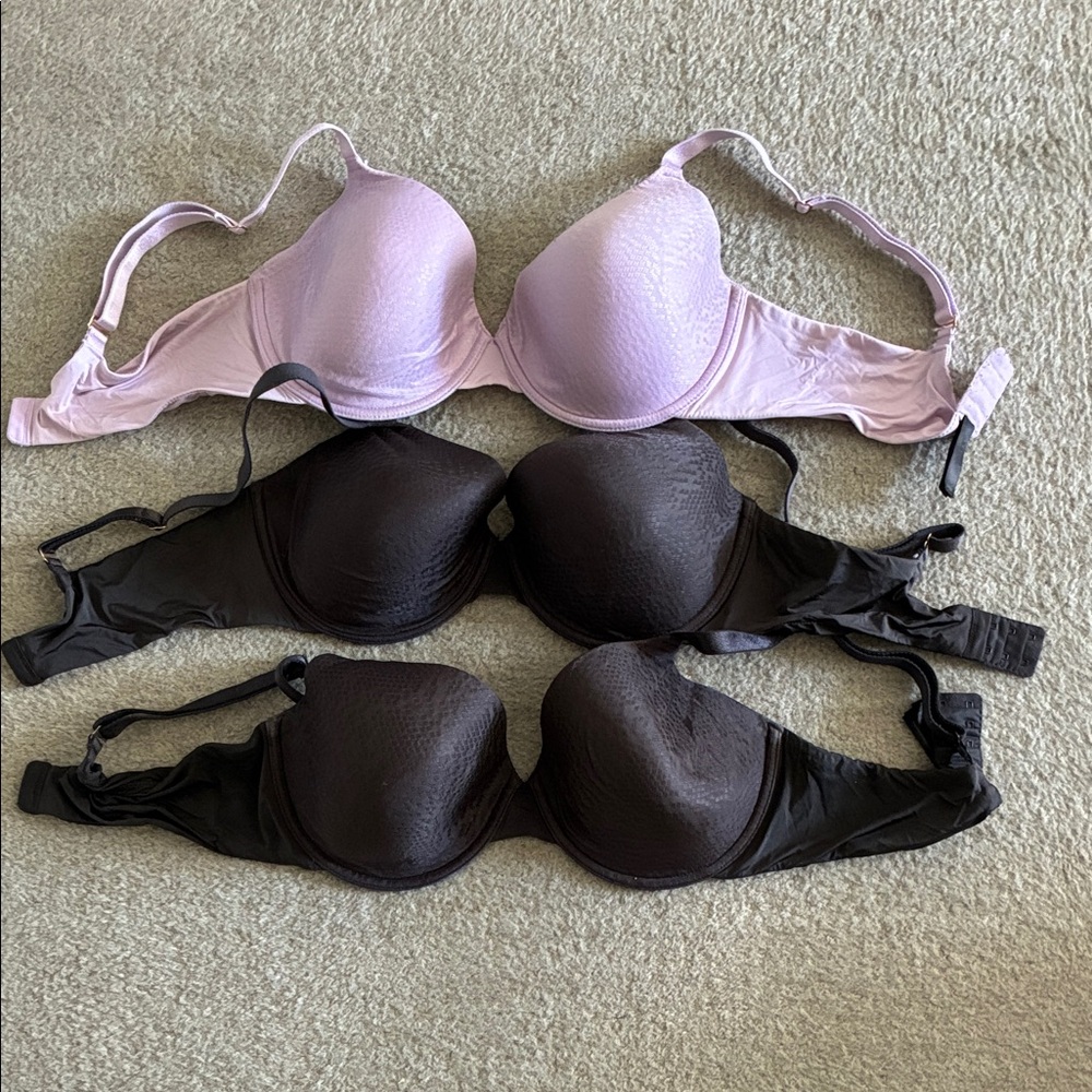 Natori Women's Padded Bra Set of 3 - Black and Lavender, 36DD